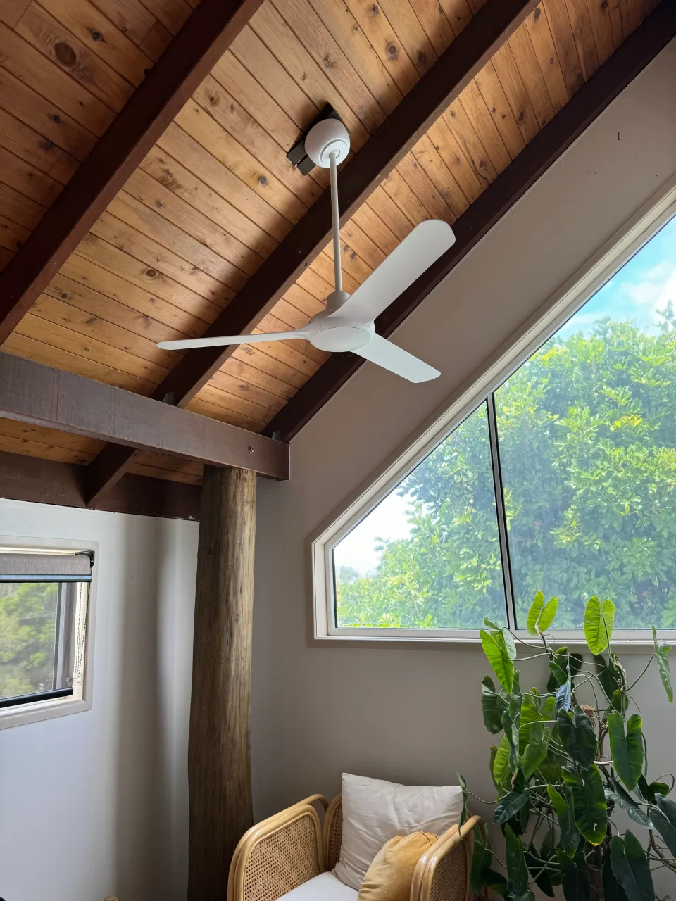 Ceiling Fans in Mount Coolum